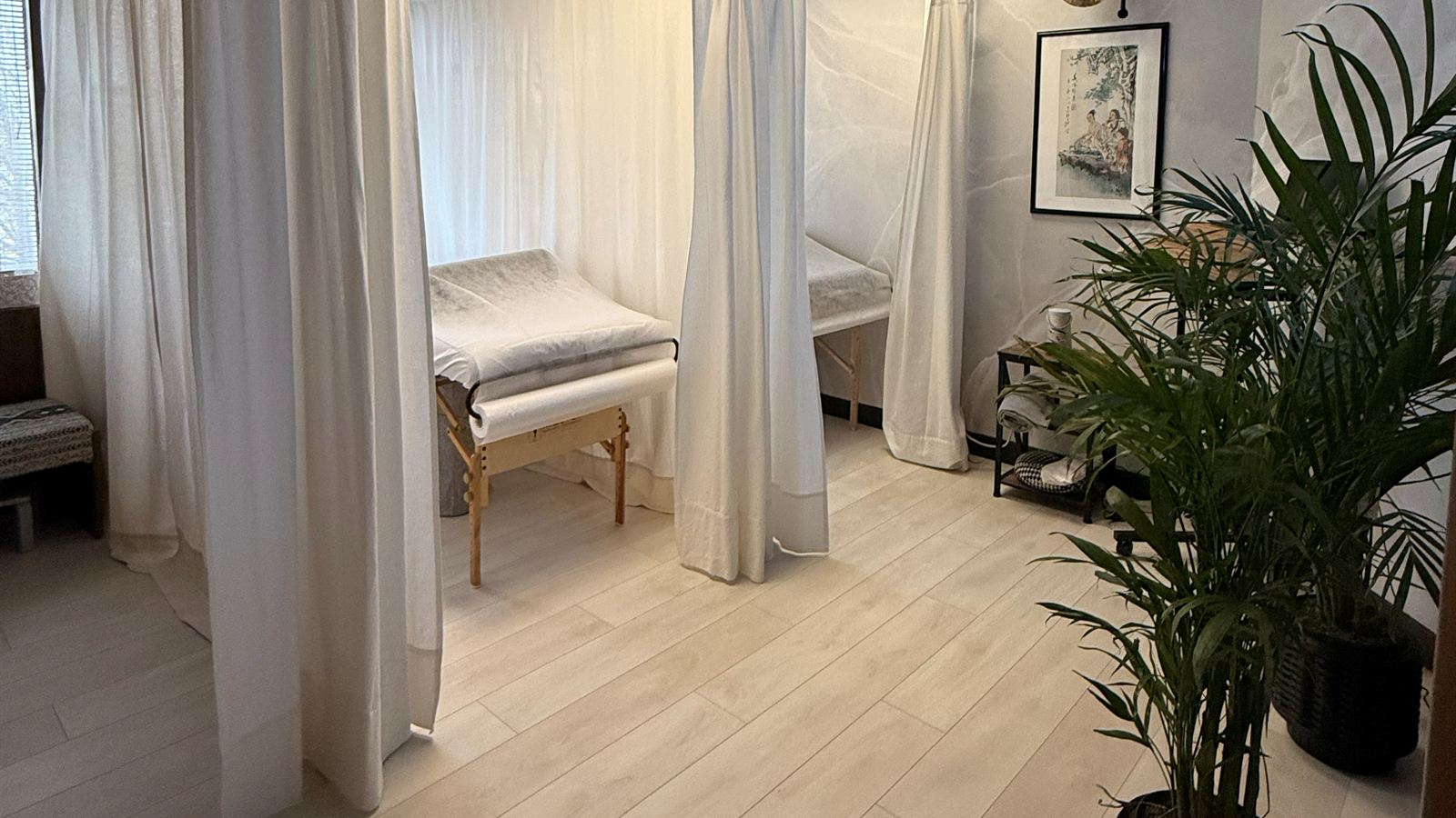 Curtained treatment tables and a palm plant in the treatment area at Aculosophy